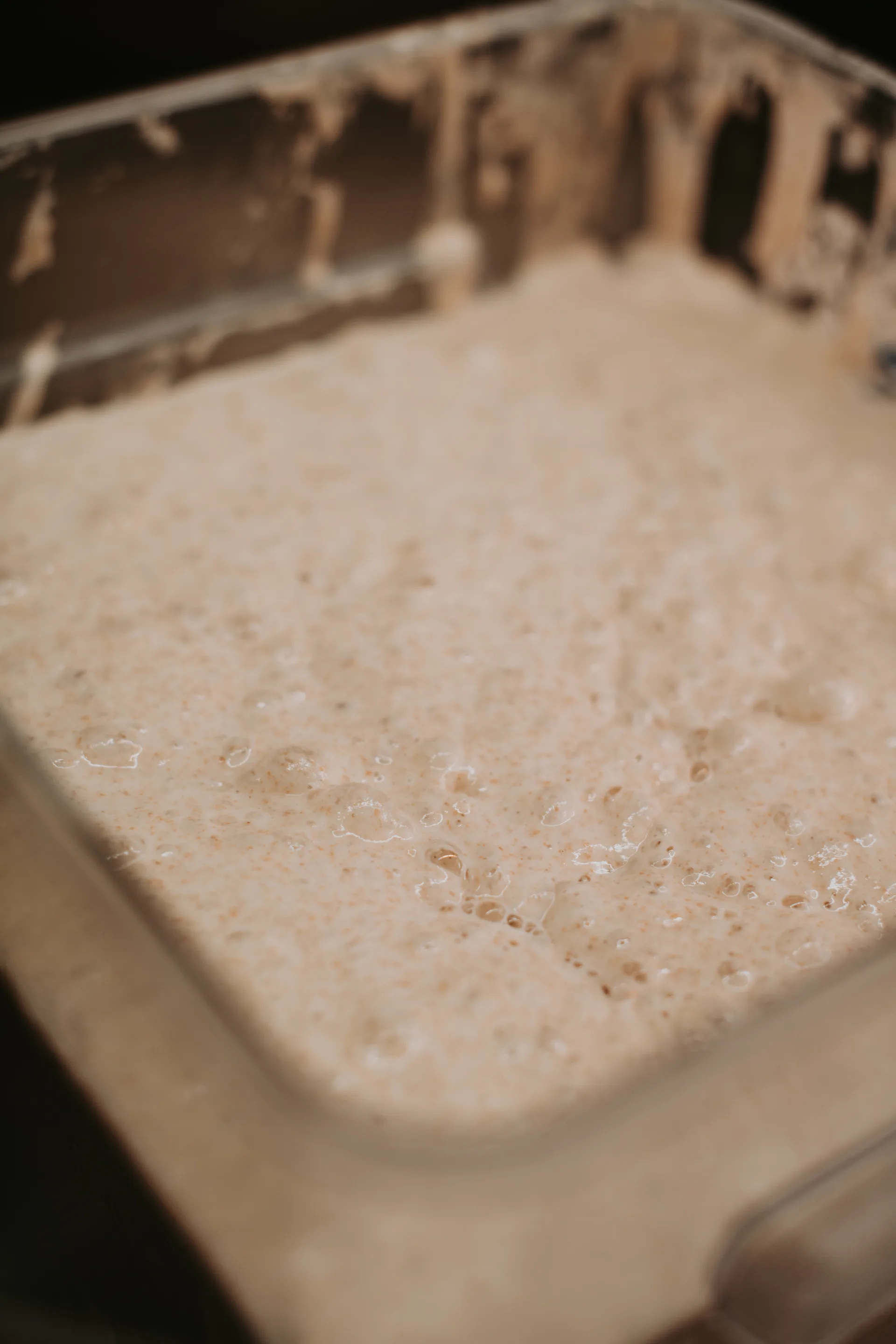 Crave Sourdough natural starter culture